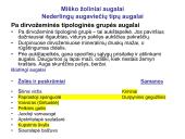 Miško tipologija (skaidrės) 12 puslapis