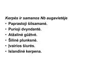 Miško tipologija (skaidrės) 15 puslapis