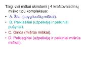 Miško tipologija (skaidrės) 19 puslapis