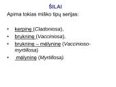 Miško tipologija (skaidrės) 20 puslapis