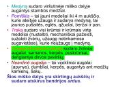 Miško tipologija (skaidrės) 3 puslapis