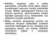 Miško tipologija (skaidrės) 4 puslapis