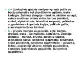 Miško tipologija (skaidrės) 8 puslapis