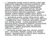 Miško tipologija (skaidrės) 9 puslapis