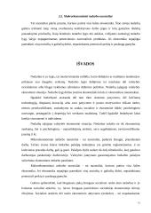 Nedarbo mažinimo galimybės 12 puslapis