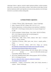 Nedarbo mažinimo galimybės 13 puslapis