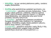 Žiedas. Vaisius 11 puslapis
