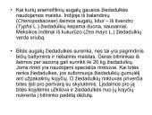 Žiedas. Vaisius 12 puslapis