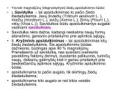 Žiedas. Vaisius 15 puslapis