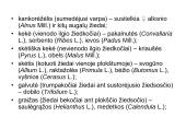 Žiedas. Vaisius 17 puslapis