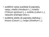Žiedas. Vaisius 18 puslapis