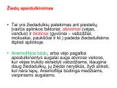 Žiedas. Vaisius 10 puslapis