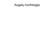 Augalų morfologija