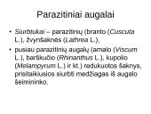 Augalų morfologija 7 puslapis