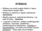 Augalų morfologija 9 puslapis