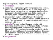 Augalų morfologija 10 puslapis