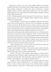 Nedarbo mažinimo programos 13 puslapis