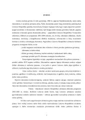 Nedarbo mažinimo programos 3 puslapis