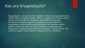 Kas yra knygnešystė? 2 puslapis