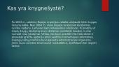 Kas yra knygnešystė? 3 puslapis