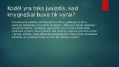 Kas yra knygnešystė? 6 puslapis
