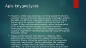 Kas yra knygnešystė? 7 puslapis