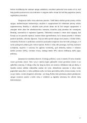 Nedarbo rūšys ir visiškas užimtumas 17 puslapis