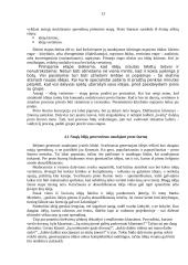Neformalių tyrimo metodų naudojimas 13 puslapis