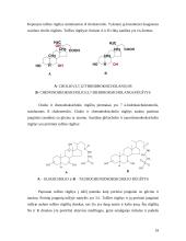Nehidrolizuojamieji lipidai: terpenoidai ir steroidai 19 puslapis