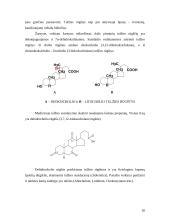 Nehidrolizuojamieji lipidai: terpenoidai ir steroidai 20 puslapis
