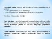 Uždegimas 2 puslapis