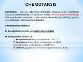 Uždegimas 11 puslapis