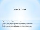 Uždegimas 13 puslapis