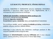 Uždegimas 16 puslapis