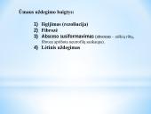 Uždegimas 18 puslapis