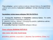 Uždegimas 4 puslapis