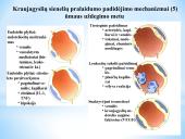 Uždegimas 8 puslapis