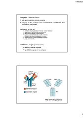 Imuninis atsakas ir infekcija 2 puslapis