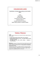 Aplinkos veiksniai, jų sukeliamos ligos 10 puslapis