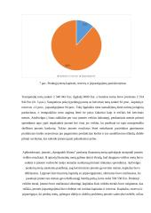 Įmonės „Apsigaubk šiluma“ veiklos modeliavimo projektas 12 puslapis