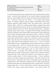 Įmonės „Apsigaubk šiluma“ veiklos modeliavimo projektas 17 puslapis