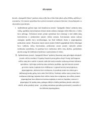 Įmonės „Apsigaubk šiluma“ veiklos modeliavimo projektas 19 puslapis