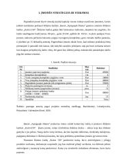 Įmonės „Apsigaubk šiluma“ veiklos modeliavimo projektas 2 puslapis