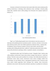 Įmonės „Apsigaubk šiluma“ veiklos modeliavimo projektas 5 puslapis