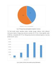 Įmonės „Apsigaubk šiluma“ veiklos modeliavimo projektas 8 puslapis
