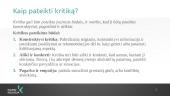 Kaip pateikti ir kaip reaguoti į kritiką 8 puslapis