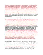 V. Mačernis. Biografija, kontekstas, kūryba 2 puslapis