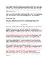 V. Mačernis. Biografija, kontekstas, kūryba 3 puslapis