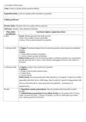 Lietuvių ir graikų mitinio pasaulio modelis. Kalbėjimas ir planas 2 puslapis