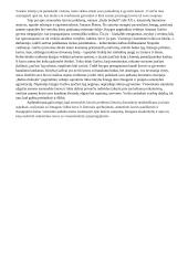 Asmenybės laisvės problema lietuvių literatūroje (Vincas Krėvė, Vincas Mykolaitis – Putinas, Antanas Škėma) 2 puslapis